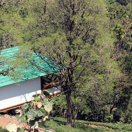 فندق Vythiri Hills المظهر الخارجي الصورة