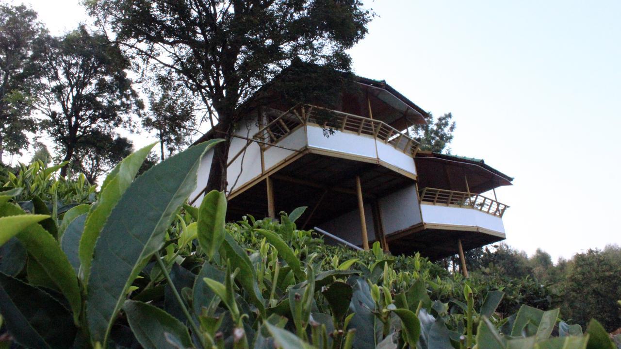فندق Vythiri Hills المظهر الخارجي الصورة